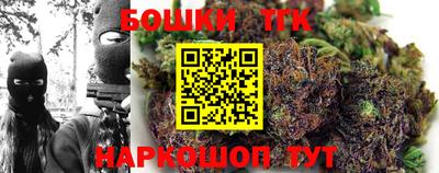 spice Камышлов